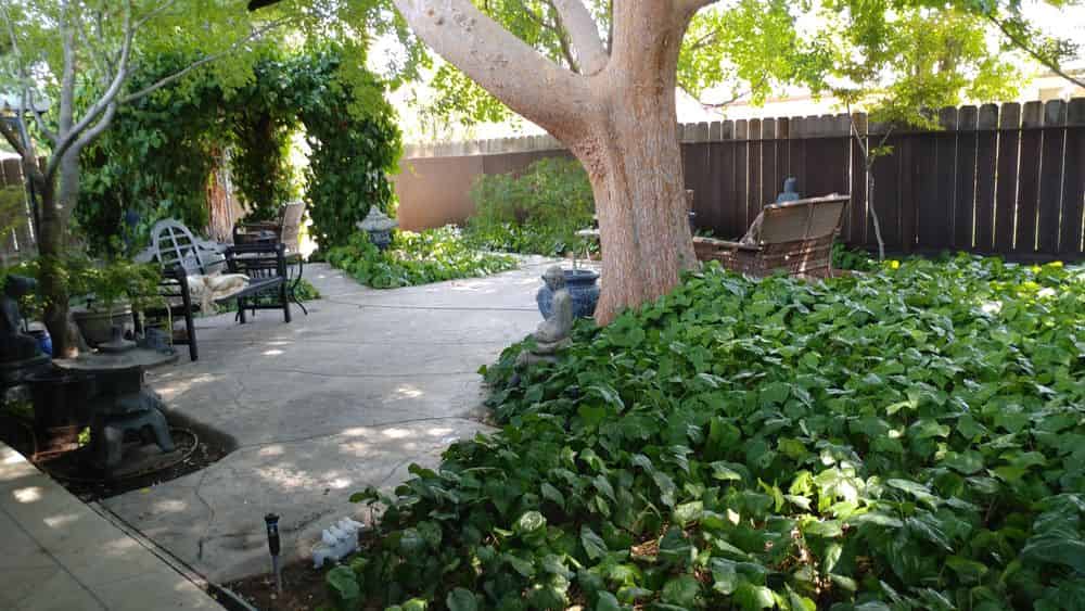 Outdoor Living Spaces image