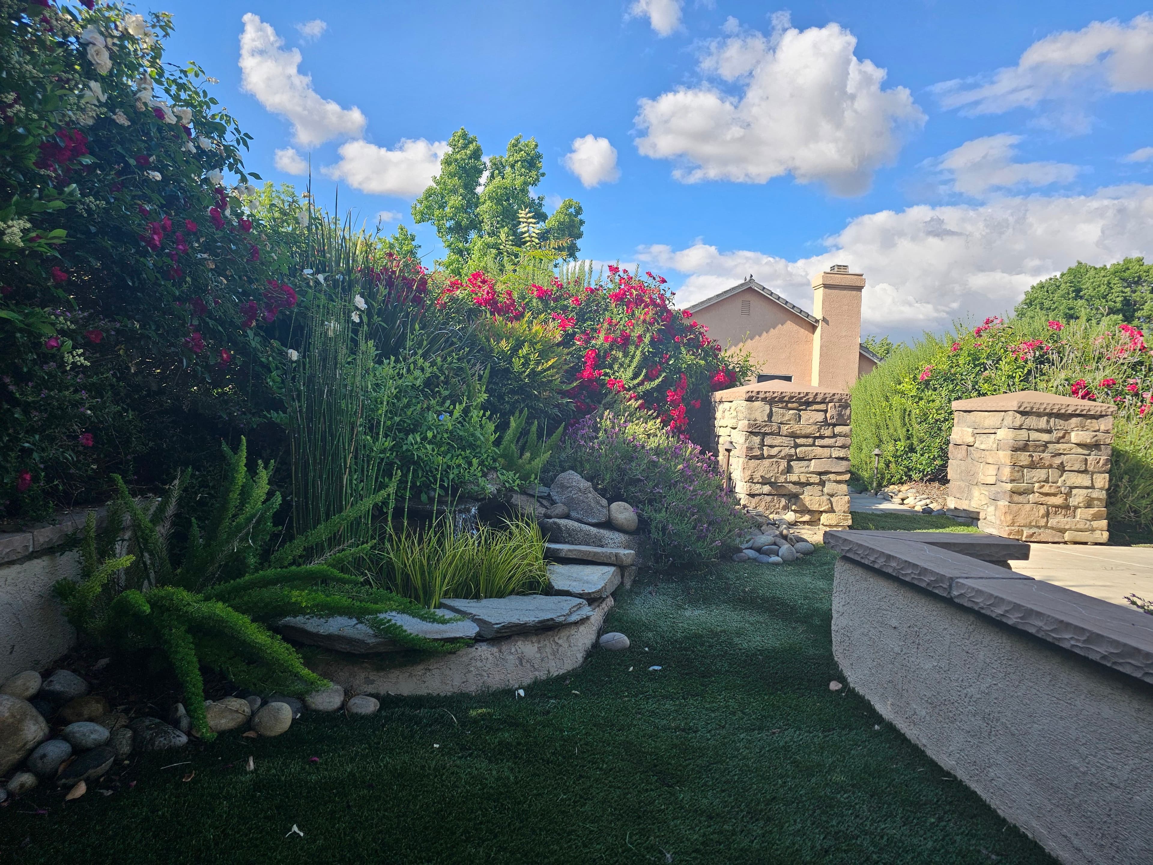Project Sunken Courtyard With Waterfall Built for Everyday Escape image