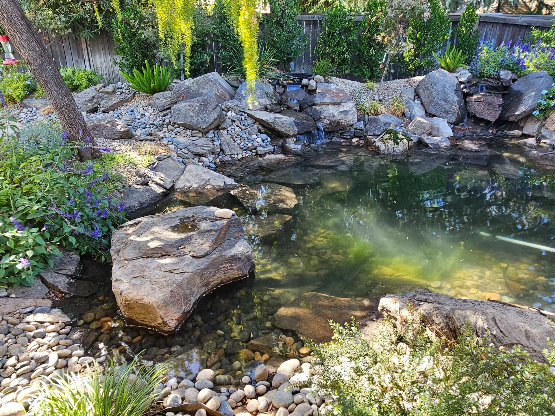 Koi Pond with Twin Waterfalls Built for Backyard Peace image