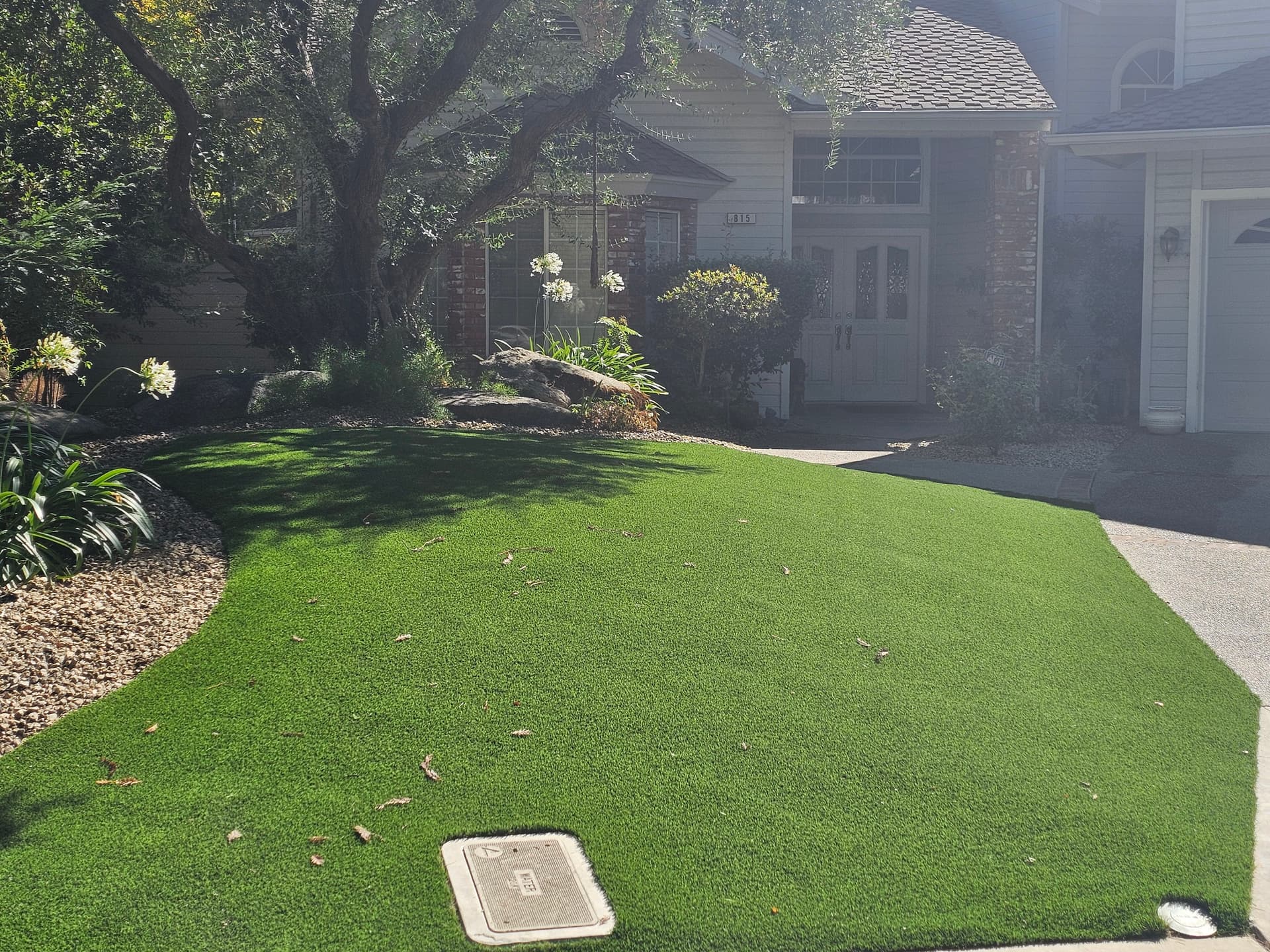 Gallery photos for Water-Smart Front Yard Re-Landscaping in Fresno-Clovis: Image #1