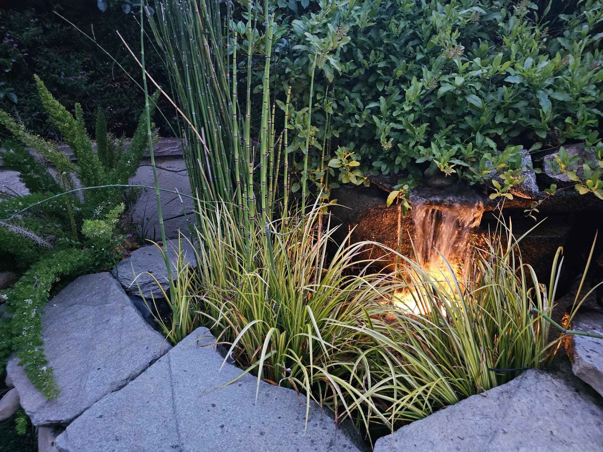 A Small Waterfall That Makes Your Yard Feel Like a Retreat image