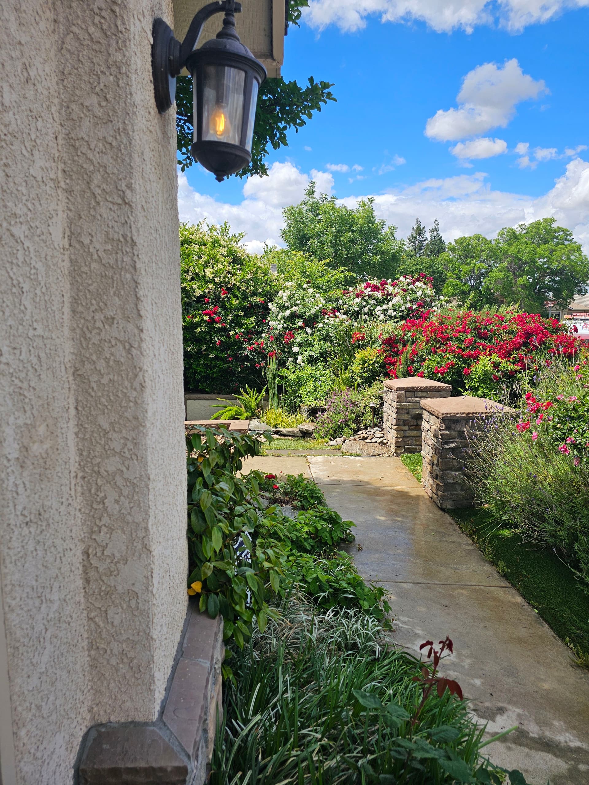 How Walkway Design Turns a Front Entry Into a Feature image