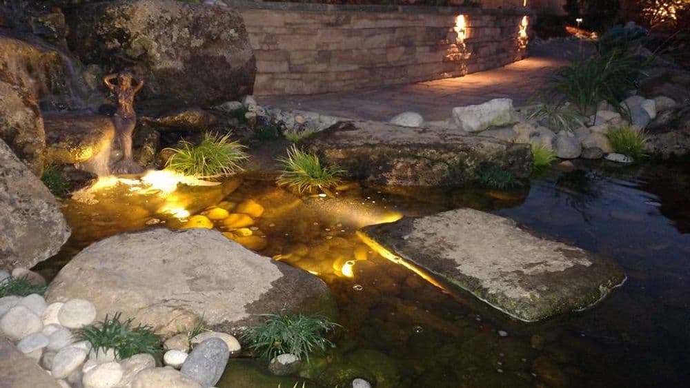 Our Waterfall and Koi Pond Services