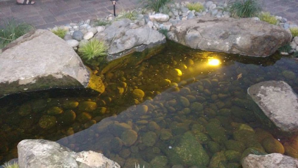 Gallery photos for Natural Koi Pond and Gazebo with Waterfall: Image #5