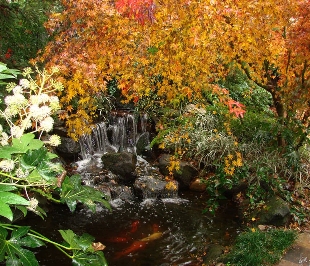 Gallery photos for Waterfalls: Image #9