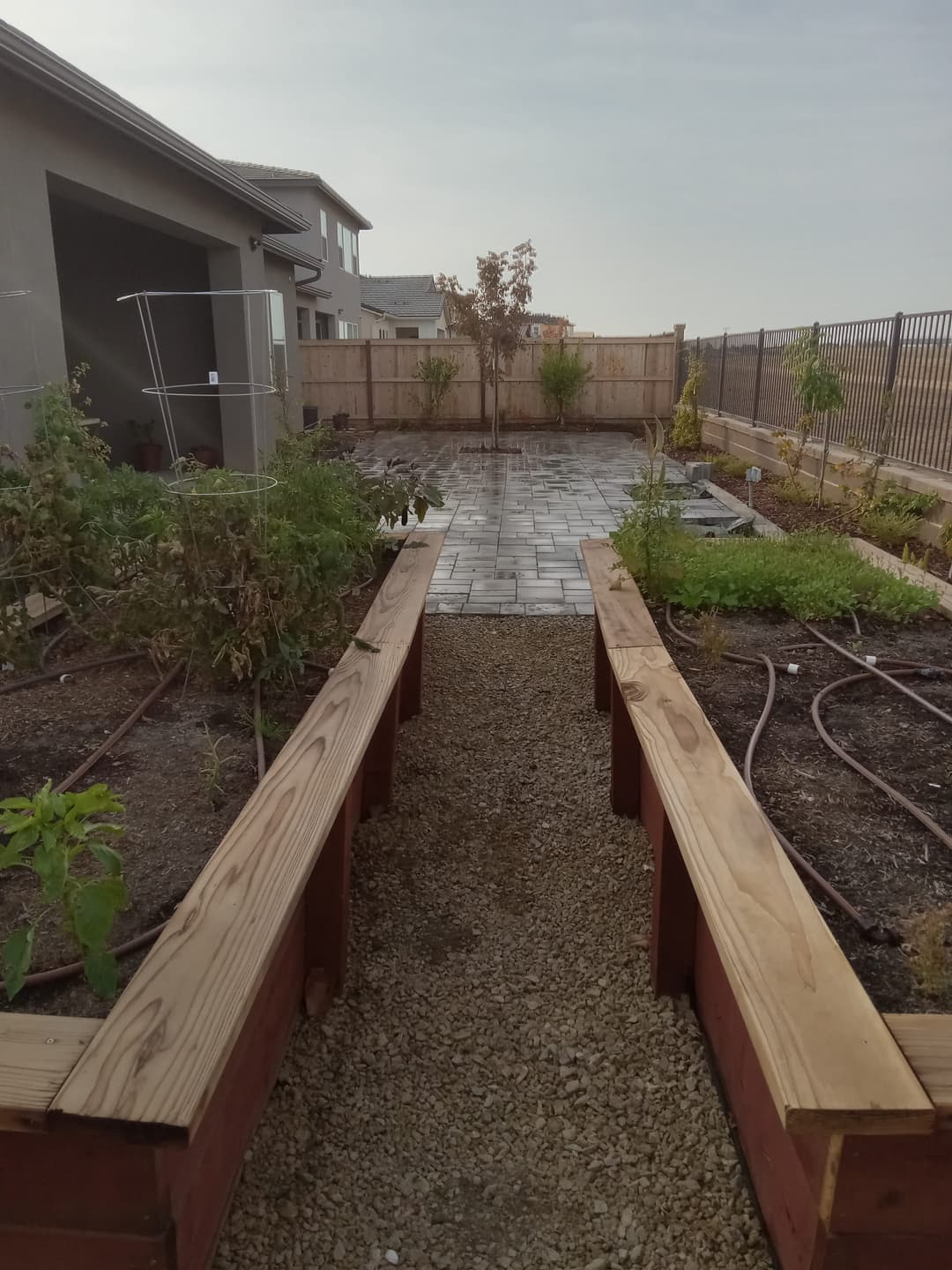 Raised garden beds lined with gravel path leading to a stone patio in a residential backyard.