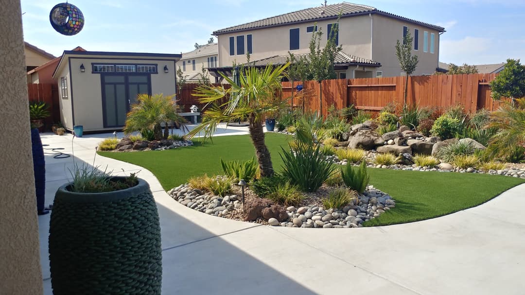 Lush backyard landscape with palm tree, rocks, and a shed against a sunny sky.