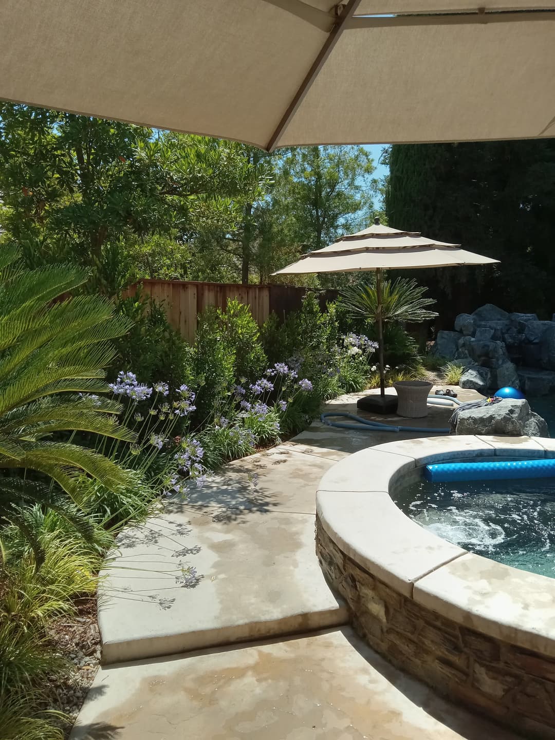 Serene backyard oasis with a hot tub, umbrella, and lush greenery under a sunny sky.