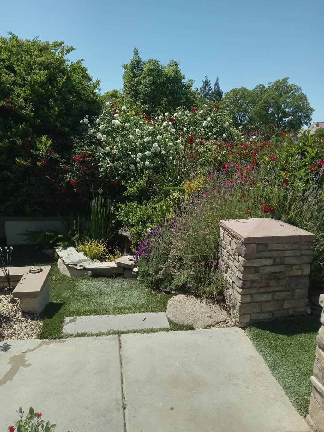 Lush garden with colorful flowers, shrubbery, stone pathway, and blue sky in background.