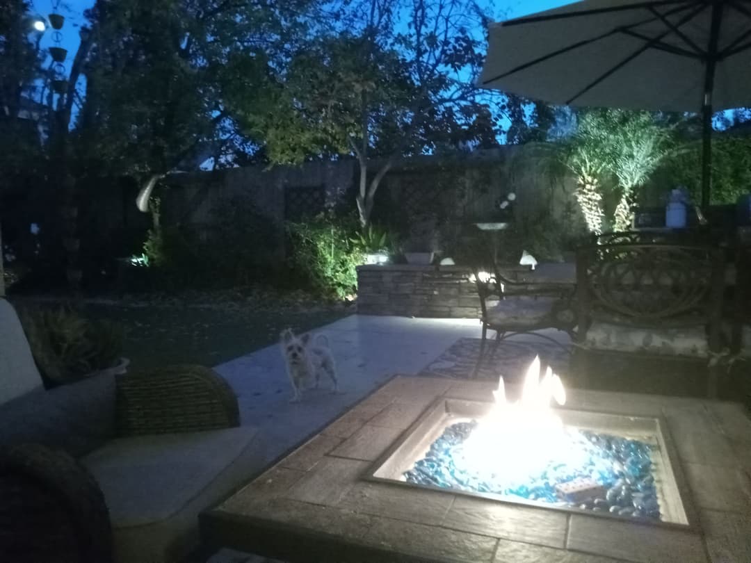 Cozy backyard at dusk featuring a fire pit, lush greenery, and a small dog.