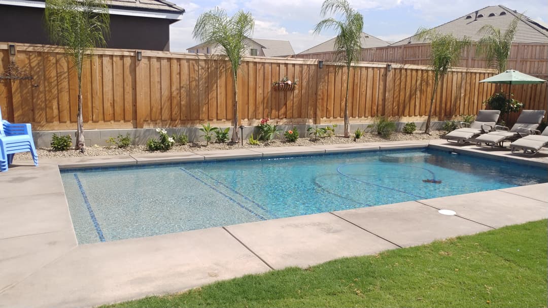 Residential backyard pool with clear water, lounge chairs, and palm trees in a fenced area.