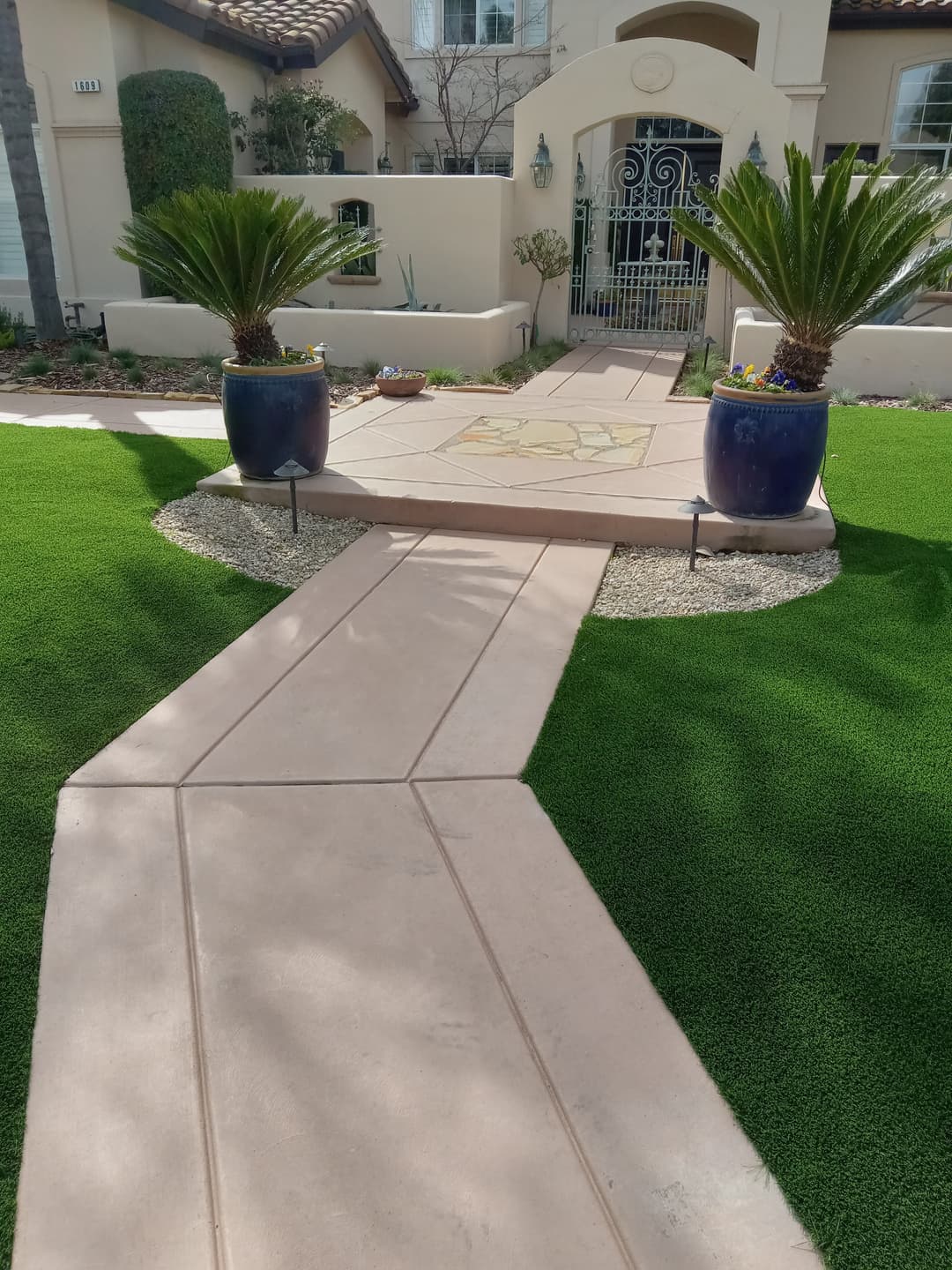 Welcoming pathway with concrete steps, landscaped palms, and vibrant green lawn.