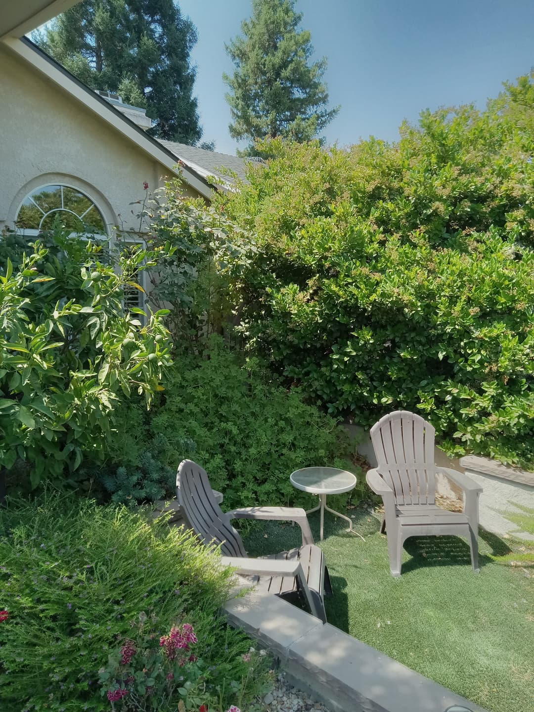 Cozy garden area with two chairs and a small table, surrounded by lush green shrubs and trees.