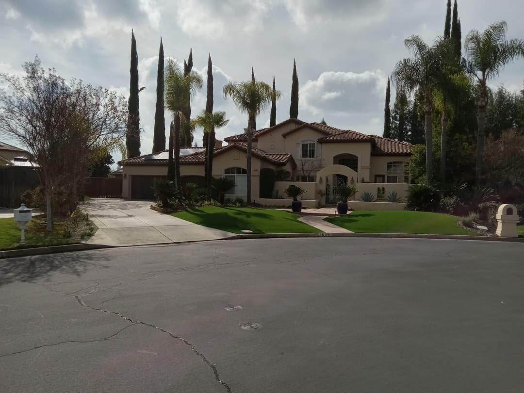 Elegant two-story house with landscaped yard and tall palm trees in a serene neighborhood.