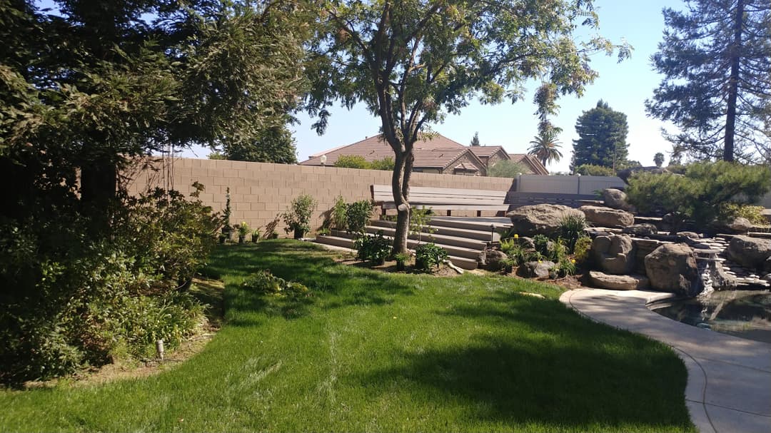 Lush backyard garden with rocks, plants, and a stone pathway on a sunny day.