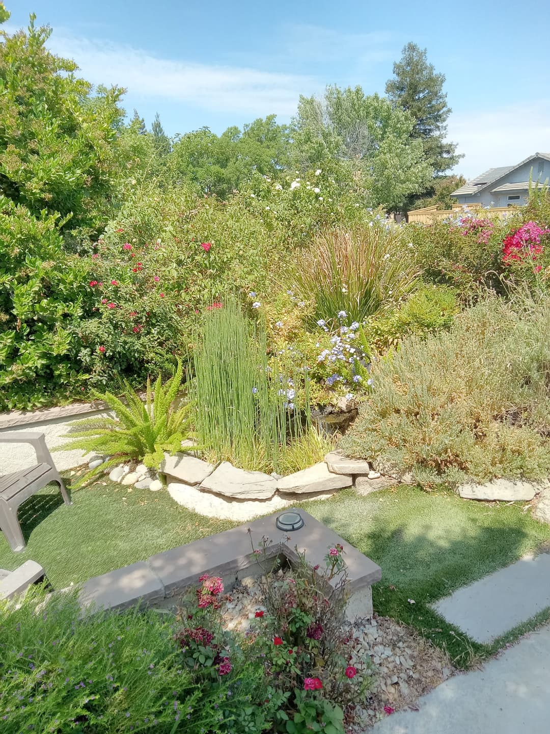 Lush garden with diverse plants, flowers, rock path, and seating area under blue sky.