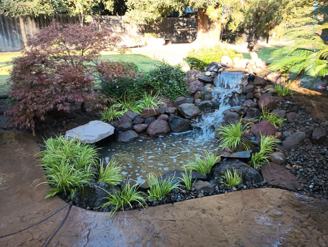 Serene backyard pond with waterfall, rocks, and lush greenery in a tranquil garden setting.