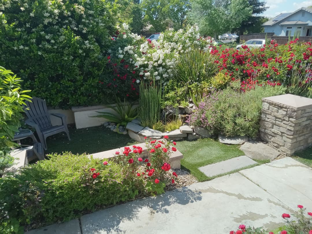 Colorful flower garden with red roses and white blooms, stone pathway, and patio seating area.