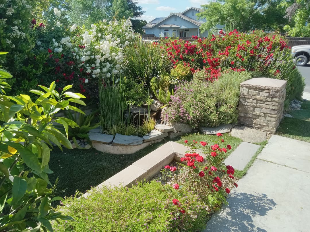 Vibrant garden with blooming flowers, lush greenery, and stone features in a residential landscape.