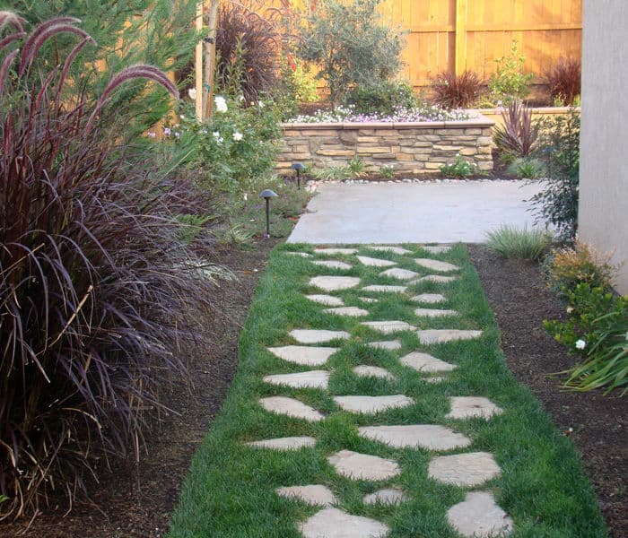 Stone pathway through a lush garden with flowering plants and a wooden fence backdrop.