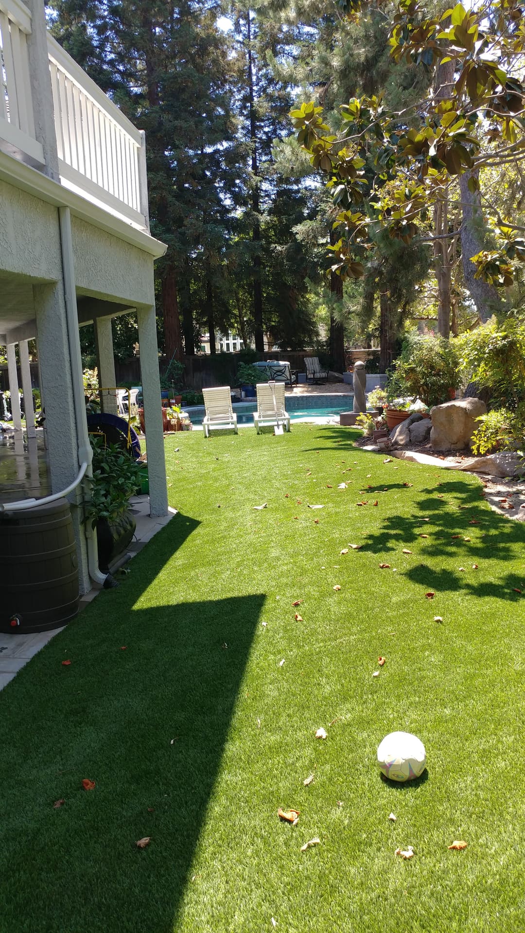 Lawn area with chairs and pool surrounded by trees, featuring a soccer ball on the grass.