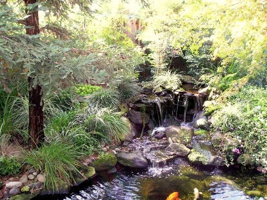 Lush garden scene with a serene pond, waterfall, rocks, and vibrant greenery.