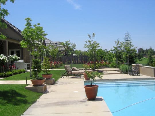 Lush backyard with swimming pool, lounge chairs, and landscaped garden under a clear blue sky.