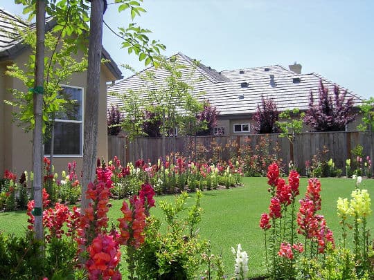 Vibrant garden filled with colorful flowers and a modern home in the background.